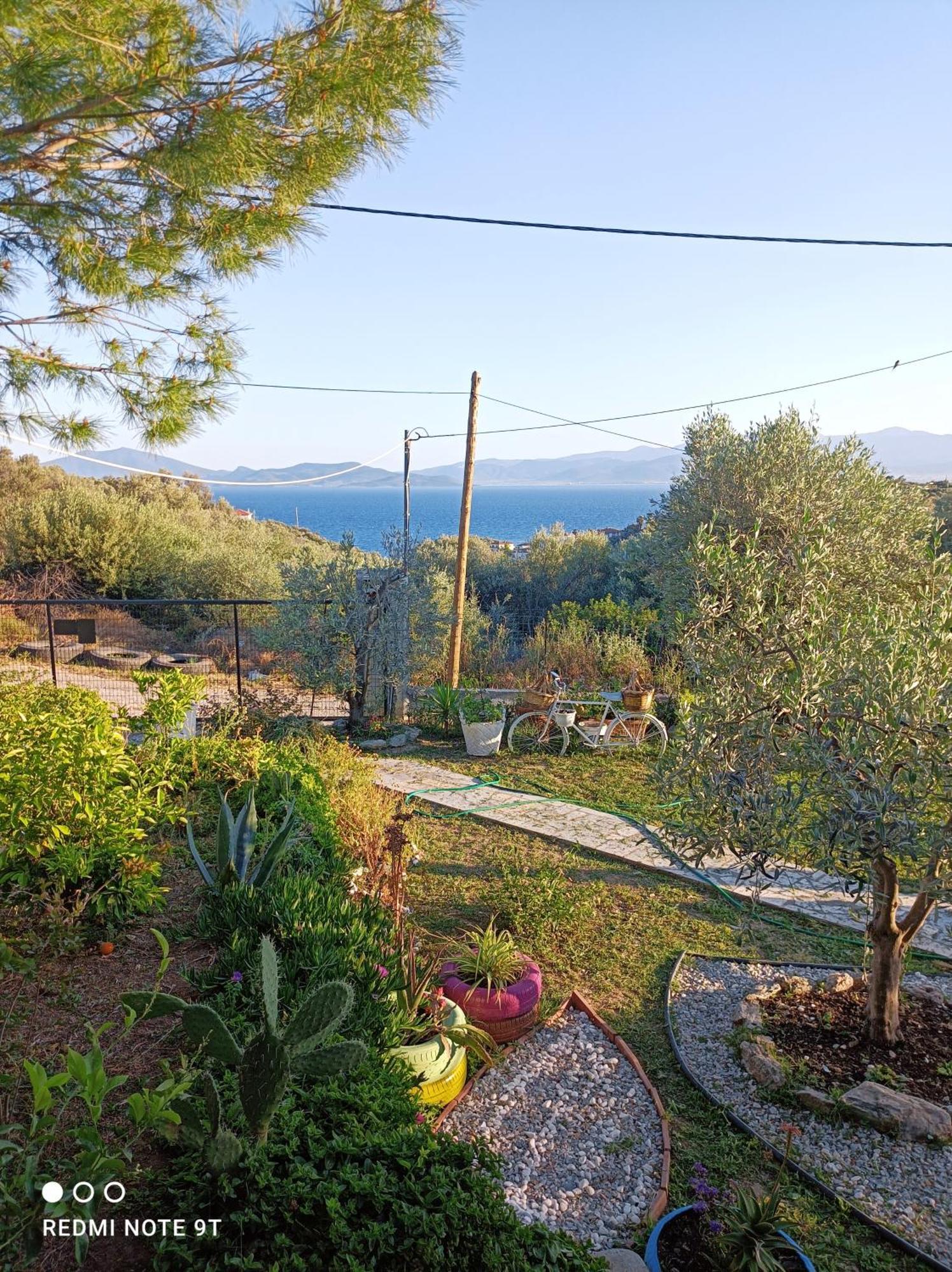 Marathos Hill Villa Volos Bagian luar foto